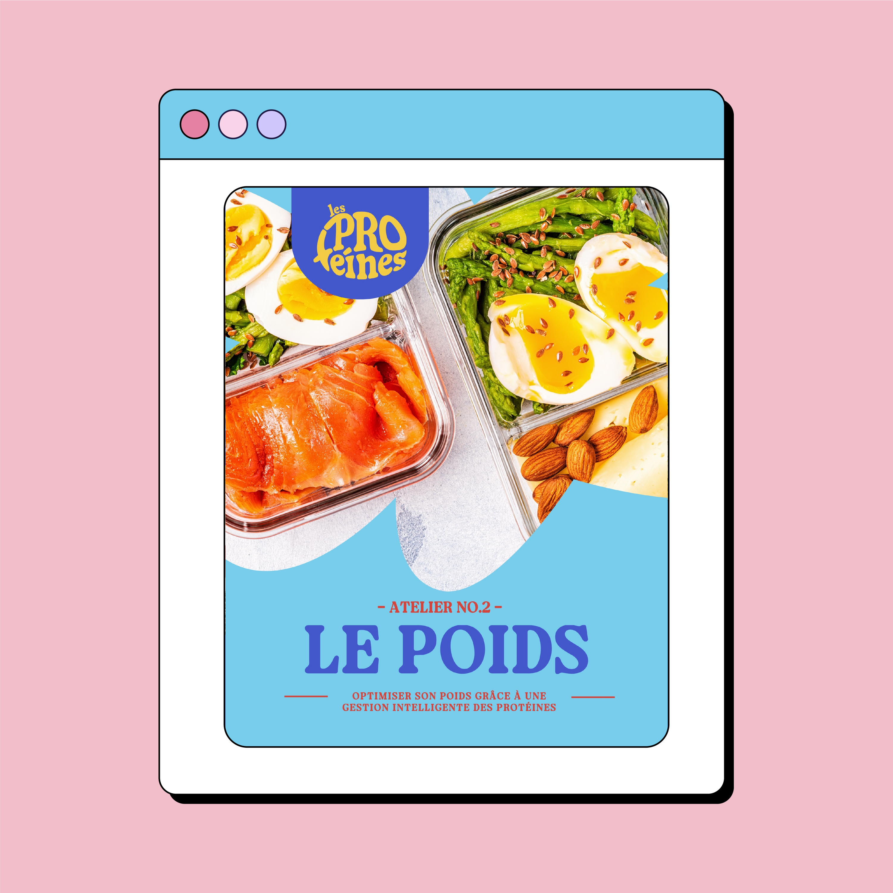 Atelier #2 : L’appétit, le poids et les protéines